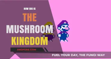 Exploring the Vastness of Mushroom Kingdom