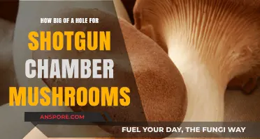 Shotgun Shells: Mushrooming and the Right Chamber Hole Size
