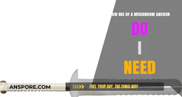 Mushroom Anchors: Choosing the Right Size for Your Boat