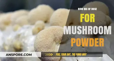 Mushroom Powder: What's the Right Dose?
