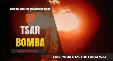 The Massive Cloud of Tsar Bomba