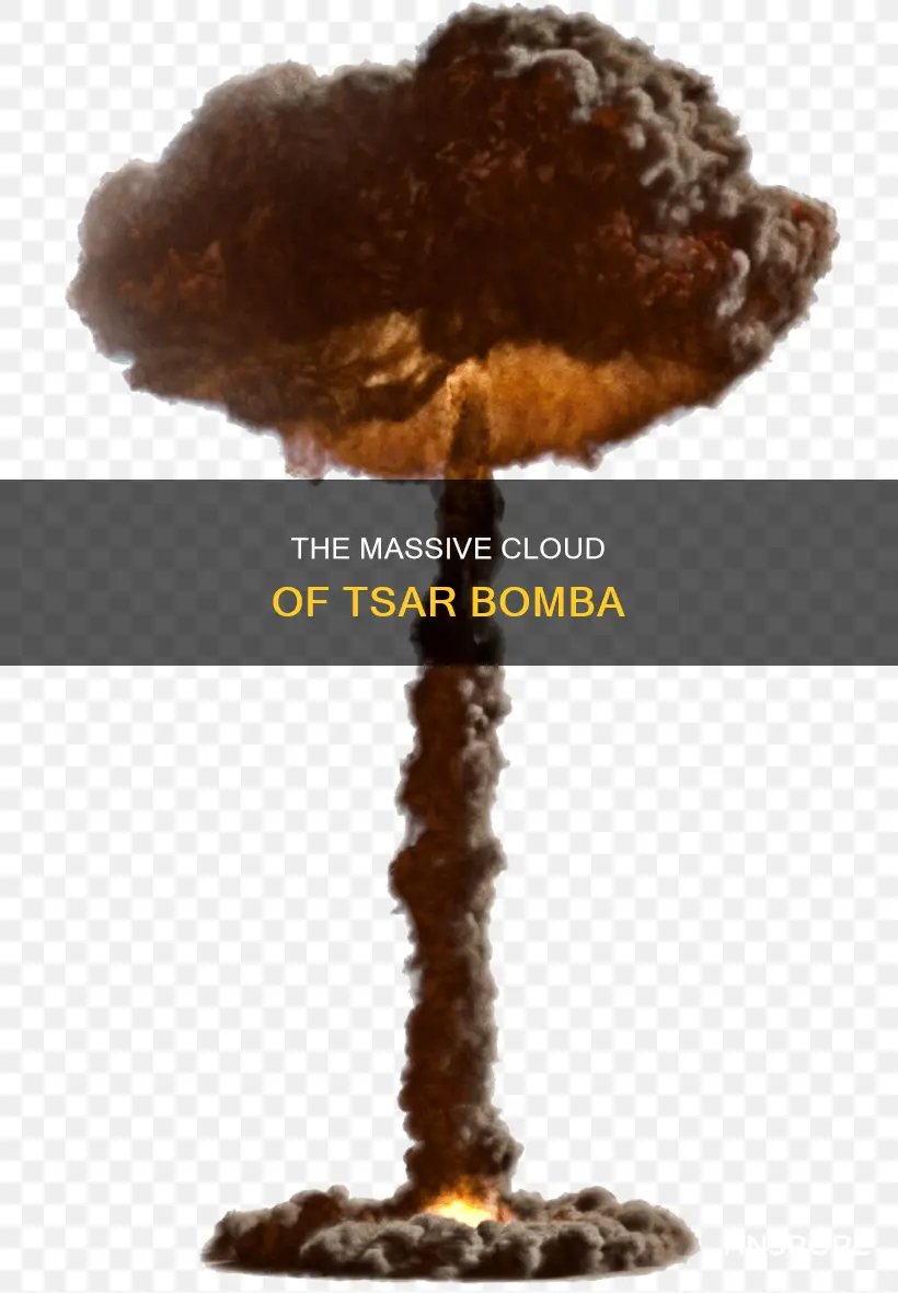how big was the mushroom cloud of tsar bomba