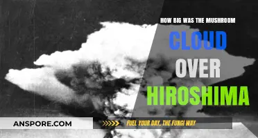 Hiroshima's Mushroom Cloud: A Terrifying Spectacle