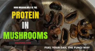 Unlocking the Protein Power of Mushrooms