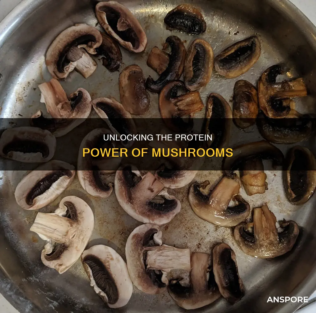 how bioavailable is the protein in mushrooms