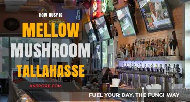 Mellow Mushroom Tallahassee: A Buzzing Pizza Spot