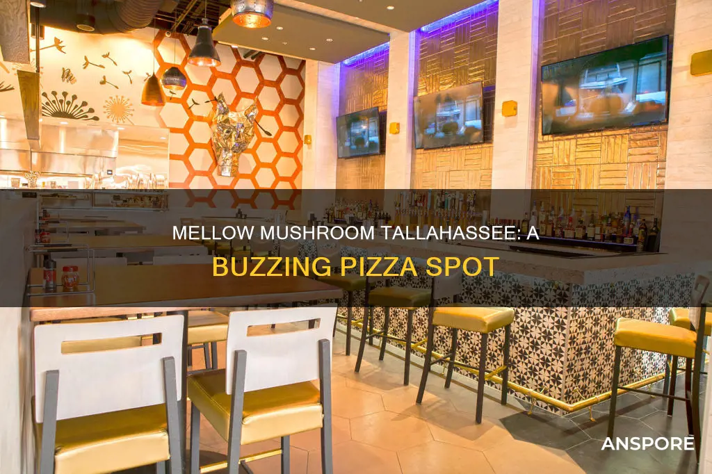 how busy is mellow mushroom tallahasse