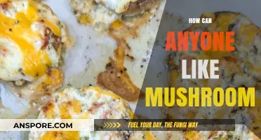 Why Mushrooms Deserve Love: Unveiling Their Unique Appeal and Flavor