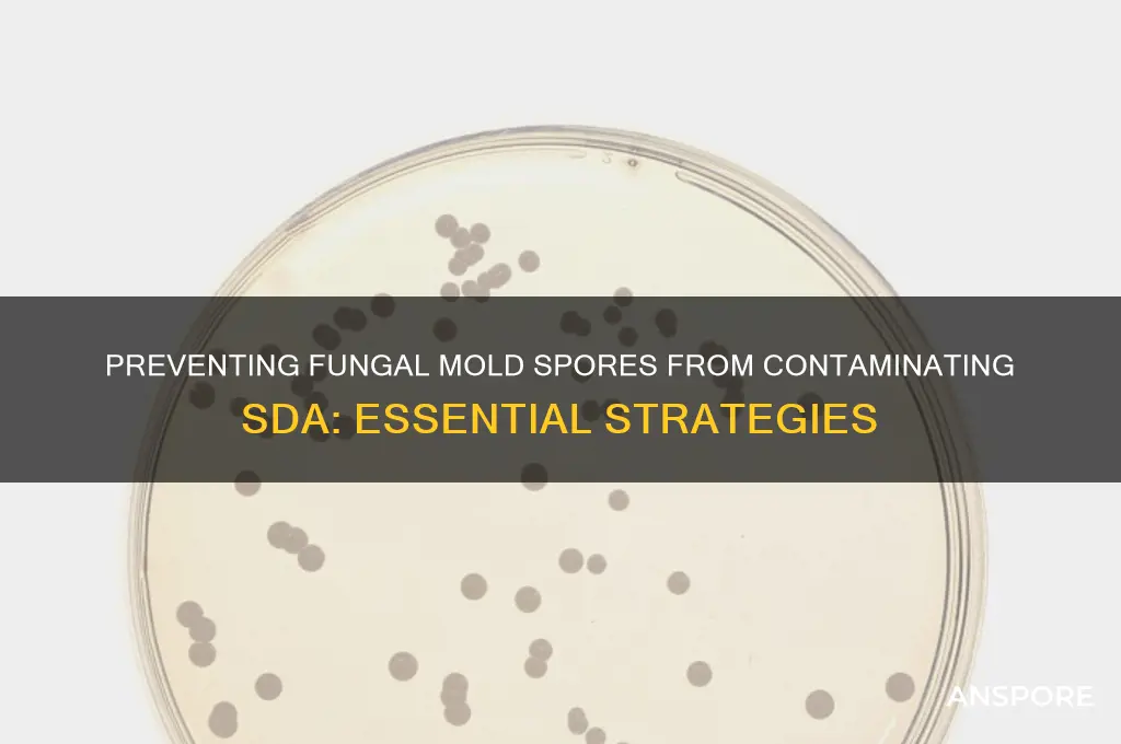 how can fungal mold spores contamine the sda