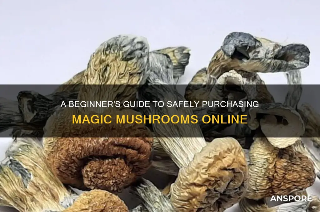 how can i buy magic mushrooms