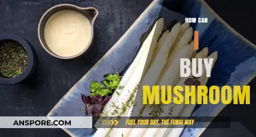 Where to Buy Mushrooms: A Comprehensive Guide for Beginners