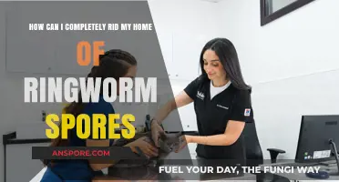 Effective Ways to Eliminate Ringworm Spores from Your Home Permanently