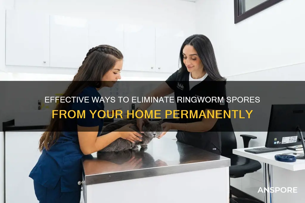 how can i completely rid my home of ringworm spores