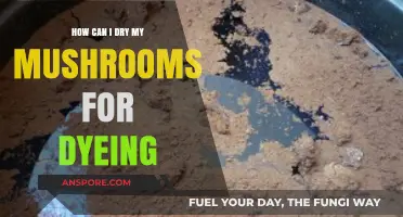 Drying Mushrooms for Vibrant Natural Dyes: A Step-by-Step Guide