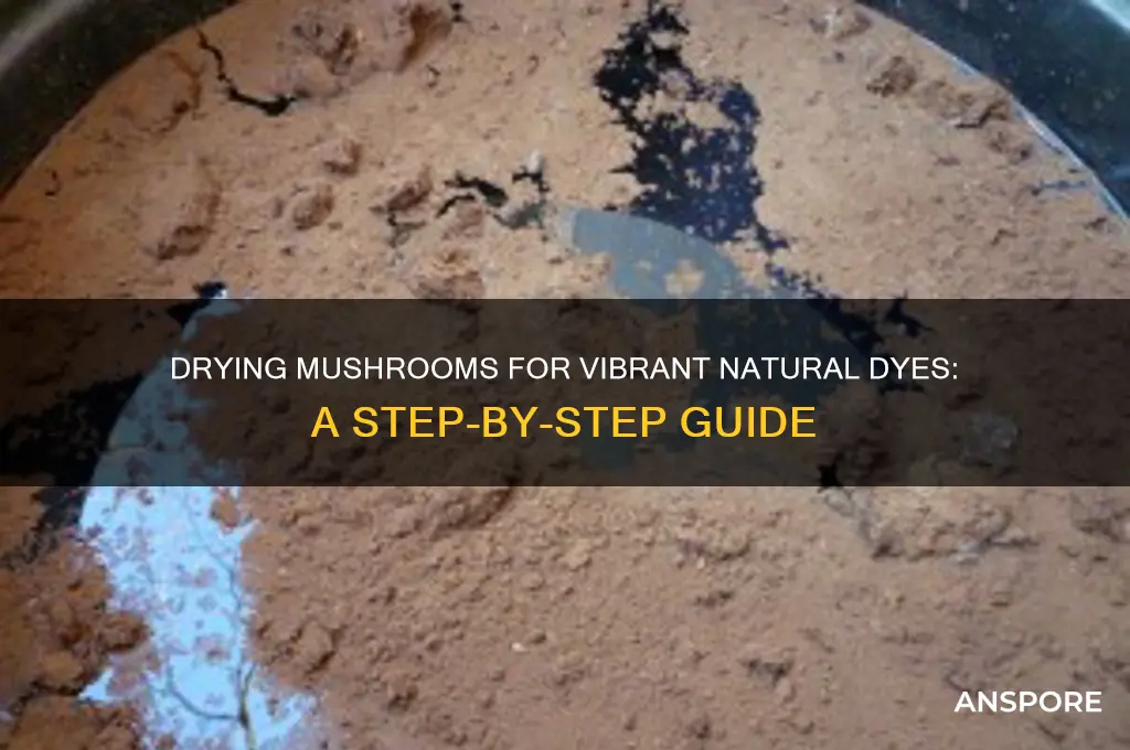how can i dry my mushrooms for dyeing