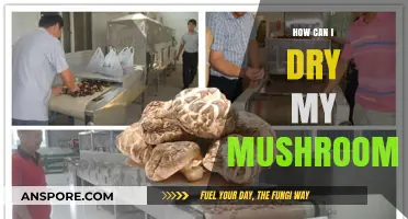 Effective Techniques for Drying Mushrooms: A Comprehensive Preservation Guide