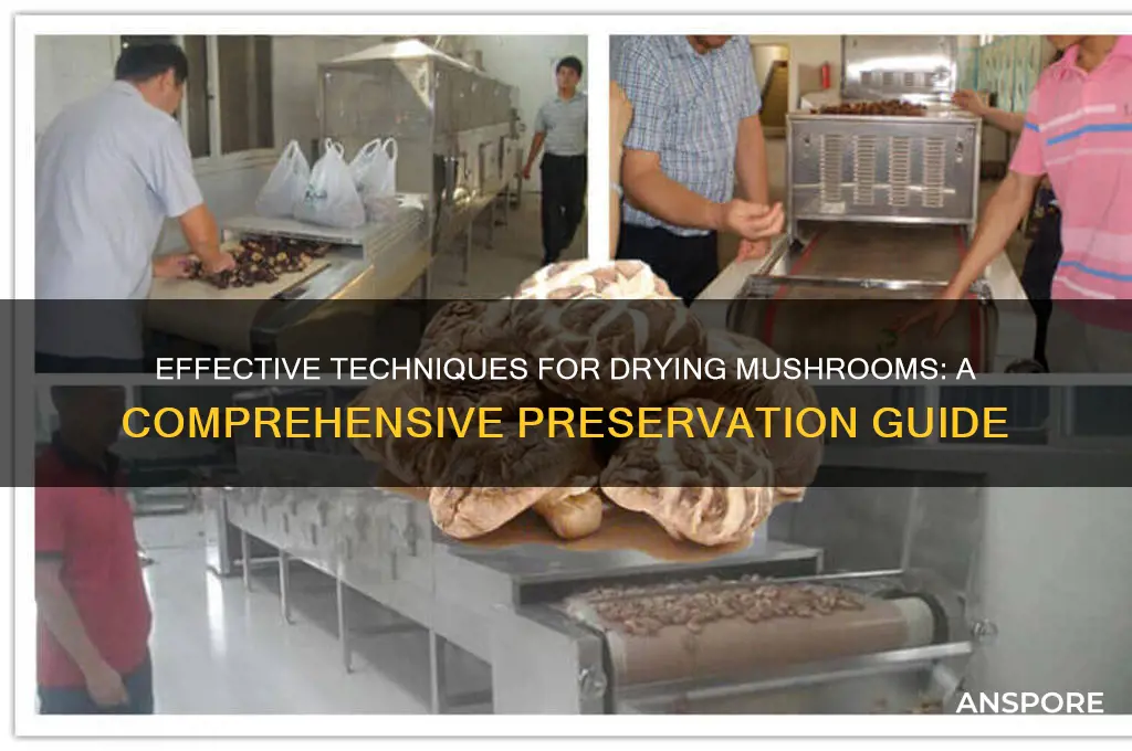 how can i dry my mushrooms