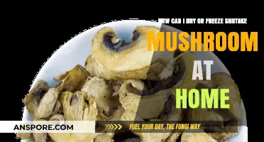 Easy Home Methods to Dry or Freeze Shiitake Mushrooms