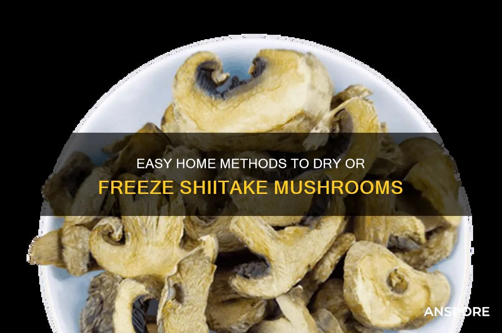 how can i dry or freeze shiitake mushrooms at home