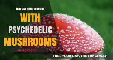 Finding Psychedelic Mushrooms: A Guide to Locating Experienced Sources