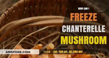 Preserving Chanterelle Mushrooms: A Simple Guide to Freezing Freshly Picked Delights
