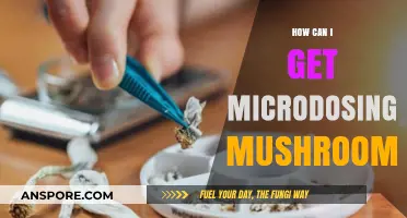 Microdosing Mushrooms: A Beginner's Guide to Safe and Effective Use