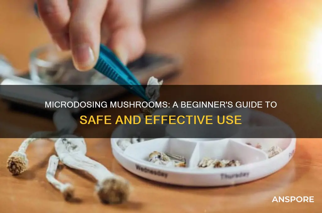how can i get microdosing mushrooms