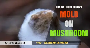 Effective Ways to Remove Brown Mold from Your Mushrooms Safely
