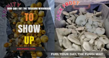 Unlocking the Secret: How to Summon the Treasure Mushroom