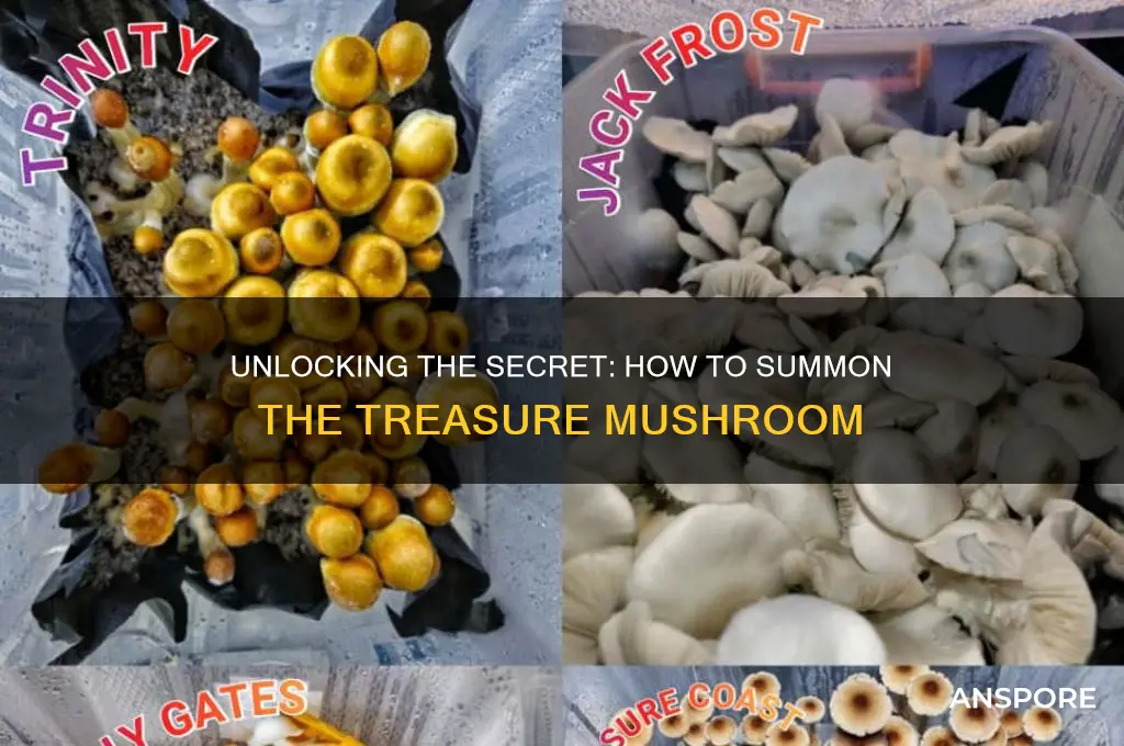 how can i get the treasure mushroom to show up