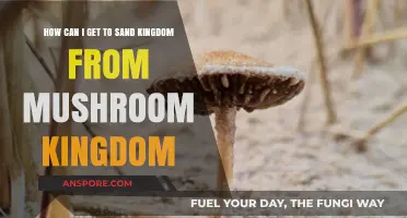 Traveling from Mushroom Kingdom to Sand Kingdom: A Step-by-Step Guide