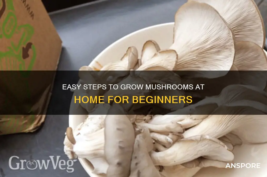 how can i grow mushroom at home