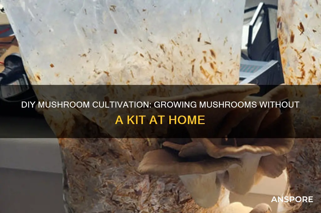 how can i grow mushrooms without a kit