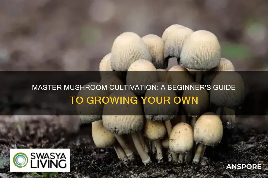how can i grow my own mushrooms
