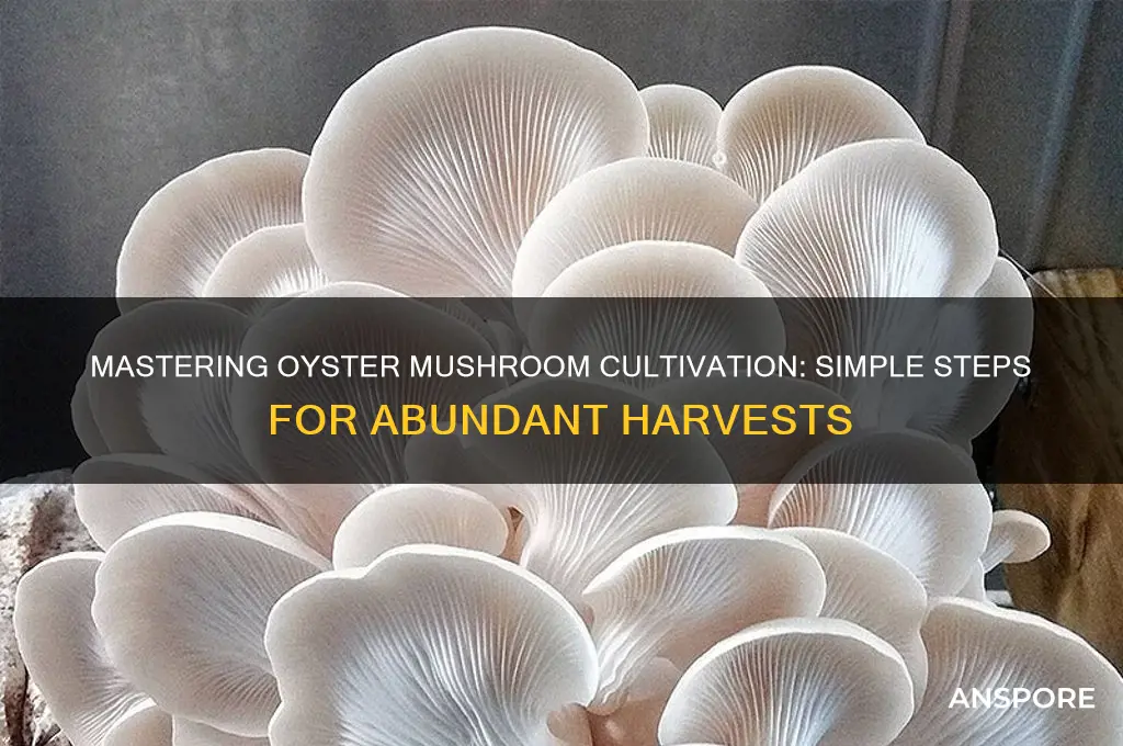 how can i grow oyster mushrooms