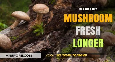 Extend Mushroom Freshness: Simple Storage Tips for Longer Shelf Life