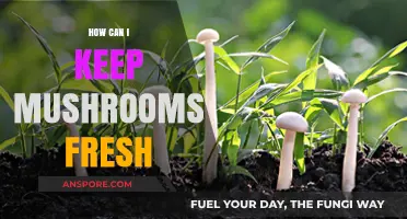 Fresh Mushrooms Made Easy: Tips for Longer Shelf Life