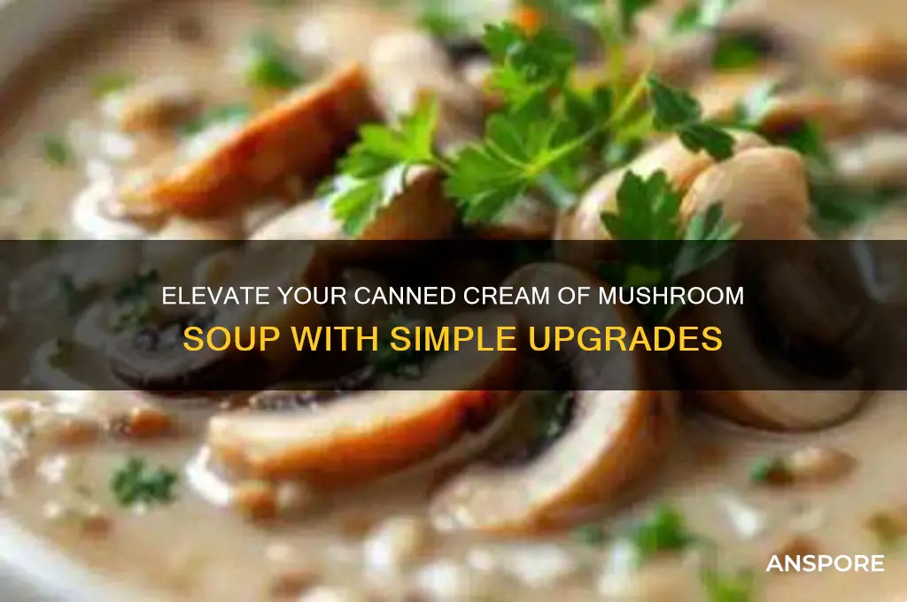 how can i make canned cream of mushroom soup better