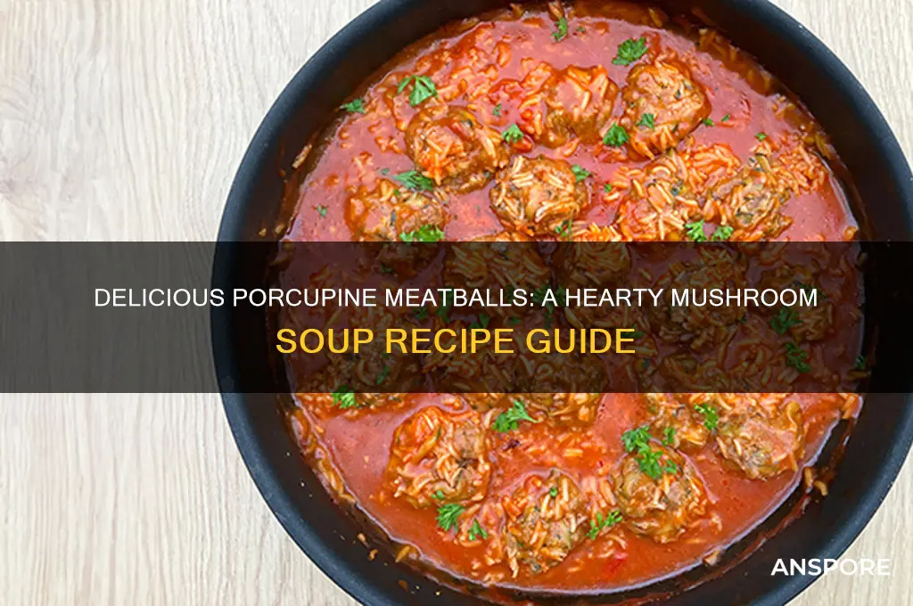 how can i make porcupine meatballs with mushroom soup