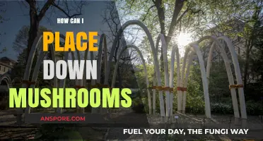 Mastering Mushroom Placement: Tips for Growing Fungi in Your Garden