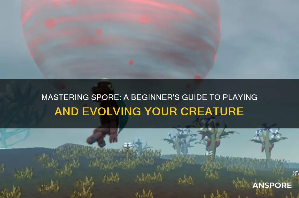 how can i play spore