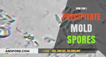 Effective Techniques to Precipitate Mold Spores for Research and Analysis