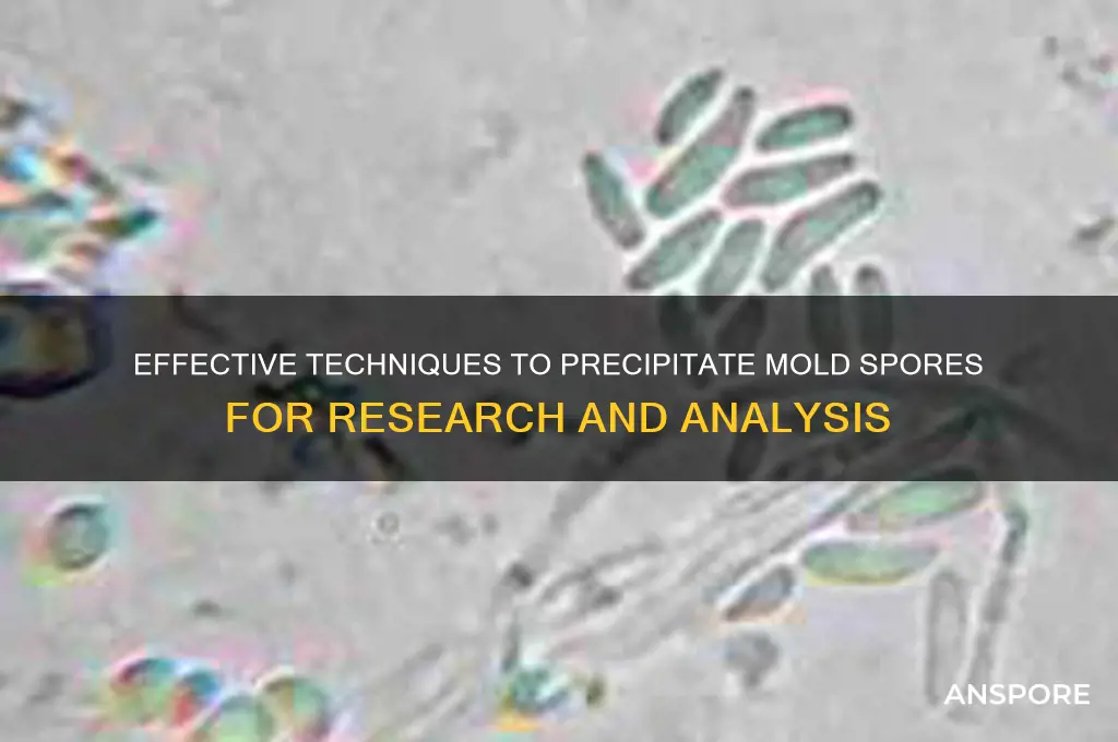 how can i precipitate mold spores