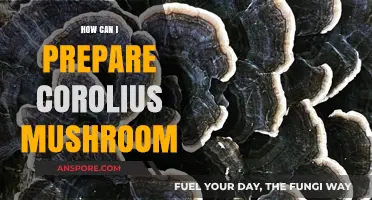 Mastering Corolius Mushroom Preparation: A Step-by-Step Culinary Guide