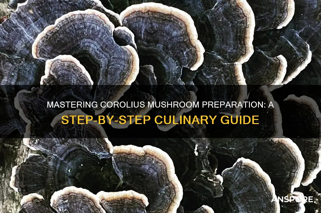 how can i prepare corolius mushroom