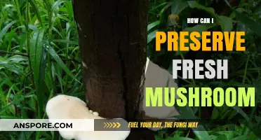 Effective Tips to Preserve Fresh Mushrooms for Longer Storage