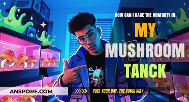 Mastering Humidity Control for Optimal Mushroom Growth in Your Tank