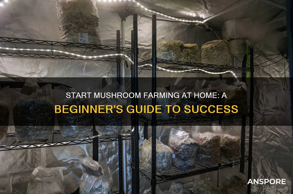 how can i start mushroom farming at home