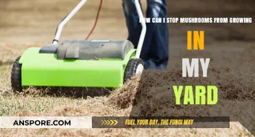 Prevent Mushroom Growth: Effective Yard Care Tips to Keep Fungi Away