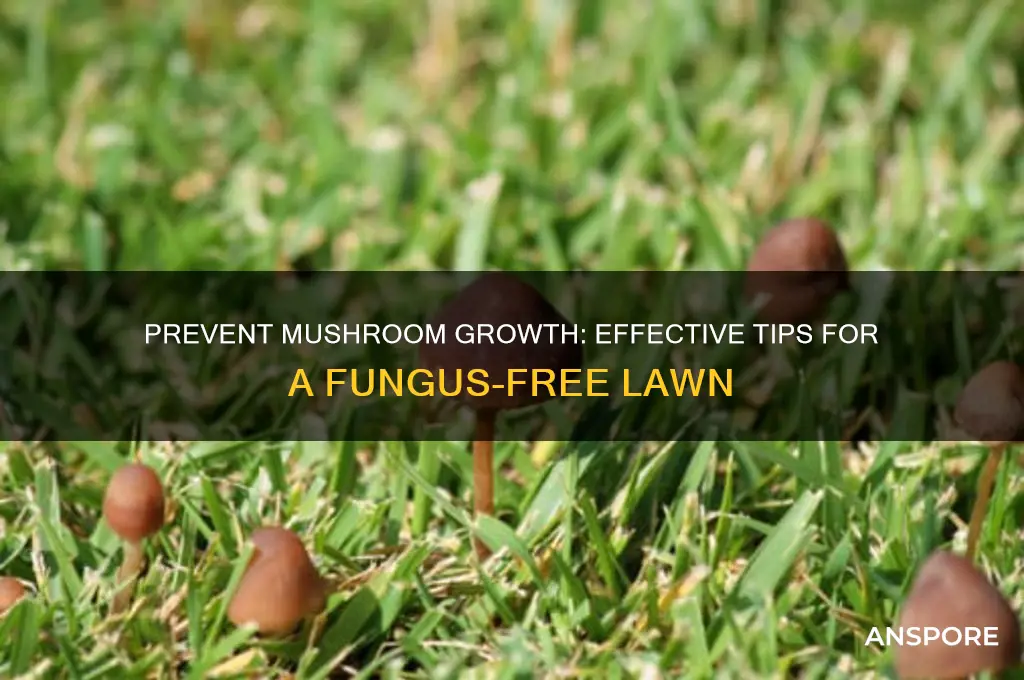 how can i stop mushrooms growing in my grass